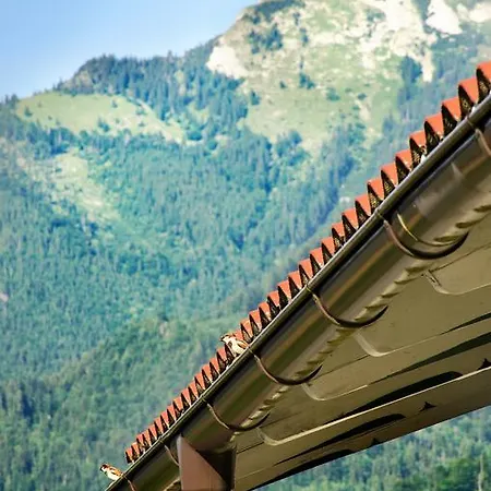 Haus - Salzkammergut Apartment Sankt Gilgen